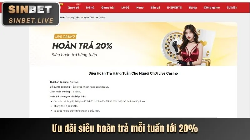 Hình ảnh tổng quan các loại khuyến mãi ZBET